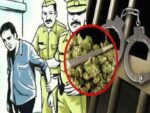 ganja-arrested