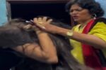 womenbeatreels