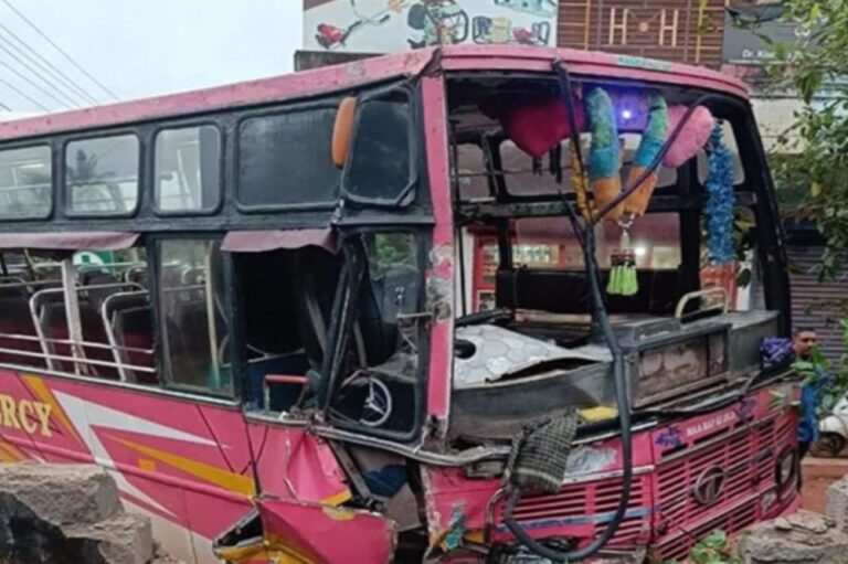 bus_vitla